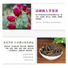 台灣🇹🇼憲哥Jacky Wu日安玩美水純醇機能飲(一盒50包) 付款後2星期左右到貨