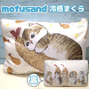 限量‼️ 正版 日本Mofusand 貓福珊迪涼感枕頭套【單入】
