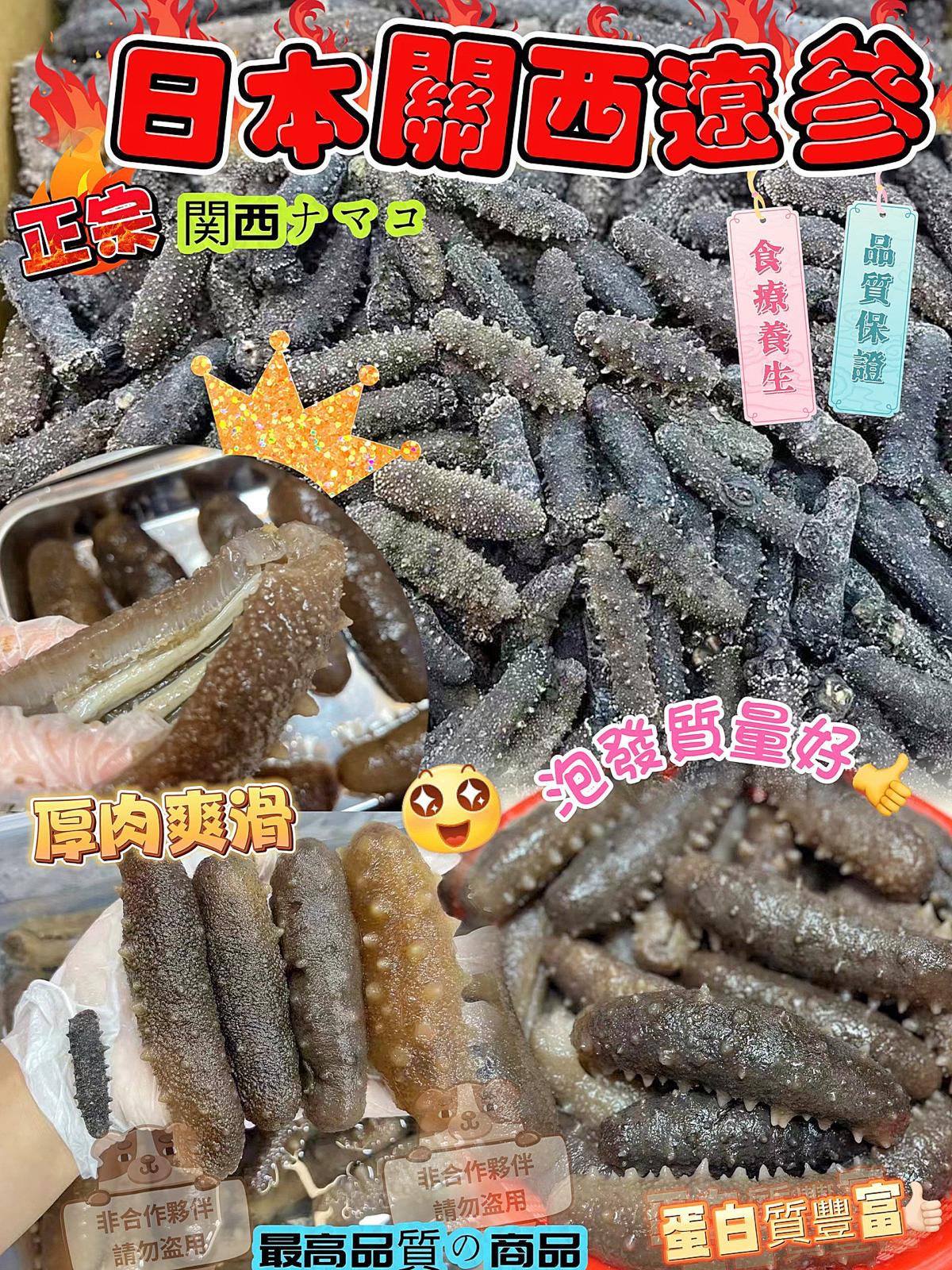🌟正宗日本關西參⭐ 食療級海參😍-📆付款後四個星期左右到貨– 澳紐記