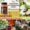 澳洲塔斯曼尼亞革木Leatherwood Honey蜂蜜 500g